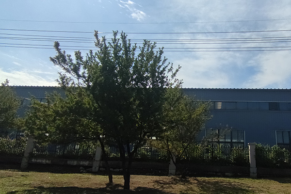 對(duì)于撫順鐵嶺沈陽(yáng)彩鋼廠房的加工質(zhì)量檢測(cè)至關(guān)重要 對(duì)于撫順鐵嶺沈陽(yáng)彩鋼廠房的加工質(zhì)量檢測(cè)至關(guān)重要